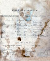 Table of Contents, Essex County 1876